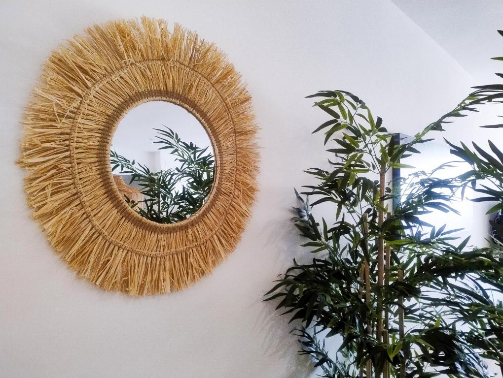 Apartamento Aura - 5
