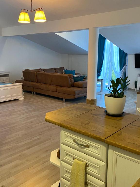 Apartments Bauo - 4