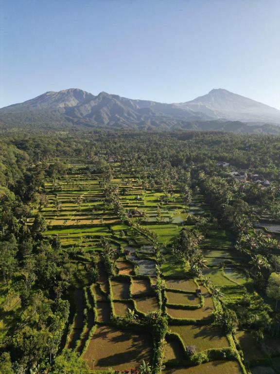 Tetebatu Fullmoon