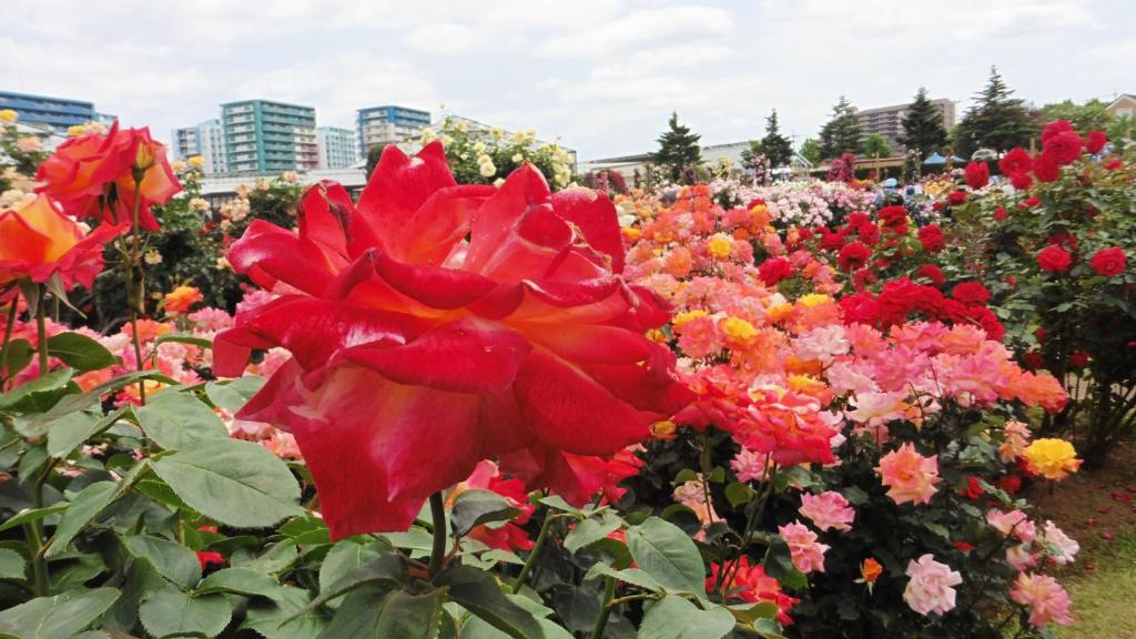 Tempat wisata terdekat