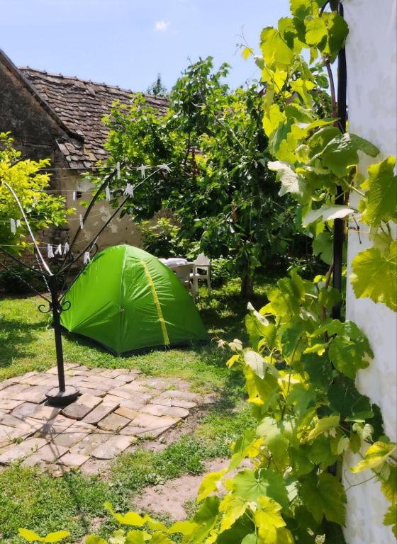 camping with sauna, Krčedin