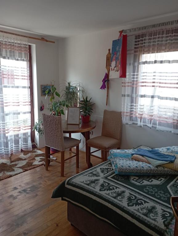 Rooms Apartment Durmitor - 4