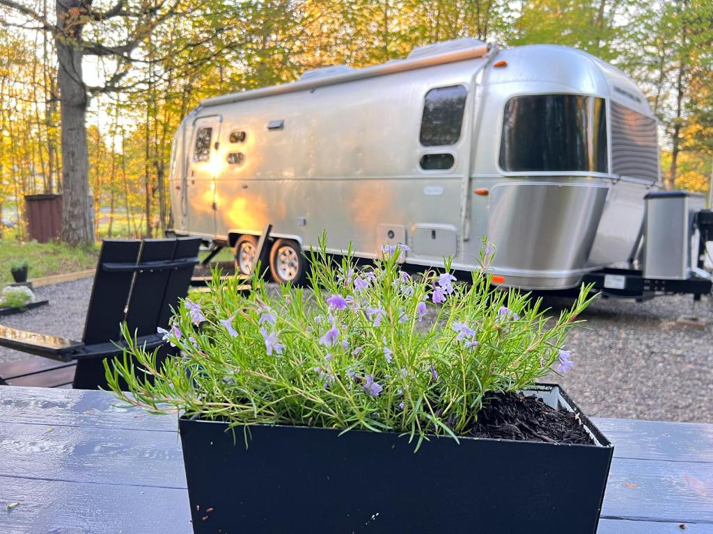 Glamping Guesthouse - Airstream Experience, Sackets Harbor