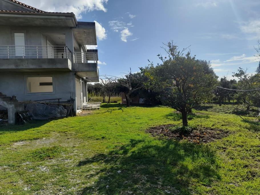 Thanos Studio, Skaloma