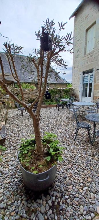 Logis La P'tite Futée, Meymac