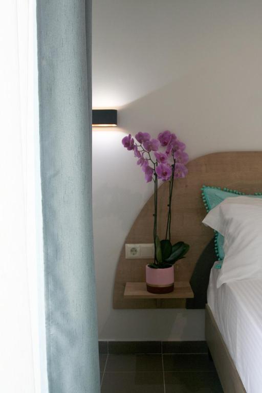 Mistral Studios, Fanárion