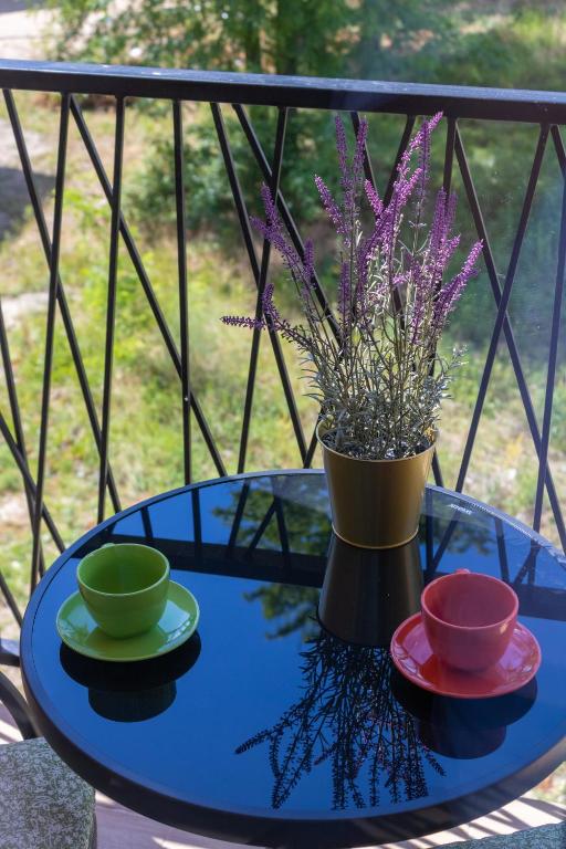 Apartman Ombra, Veliko Gradište