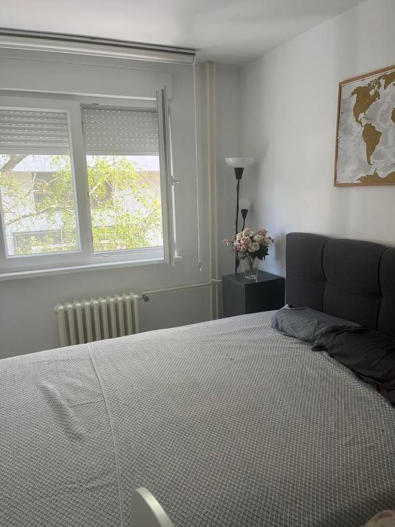 Waterlily apartment - 2