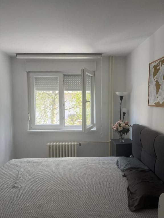 Waterlily apartment - 4