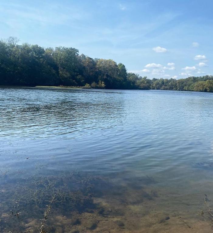 Luxury Riverfront Tiny Home- Amazing Views #555, Strawberry Plains