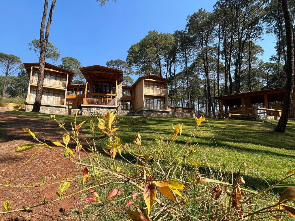 Quintanaya Mazamitla, Mazamitla