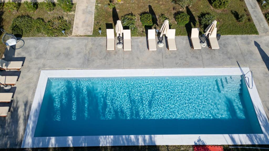 スイミングプール