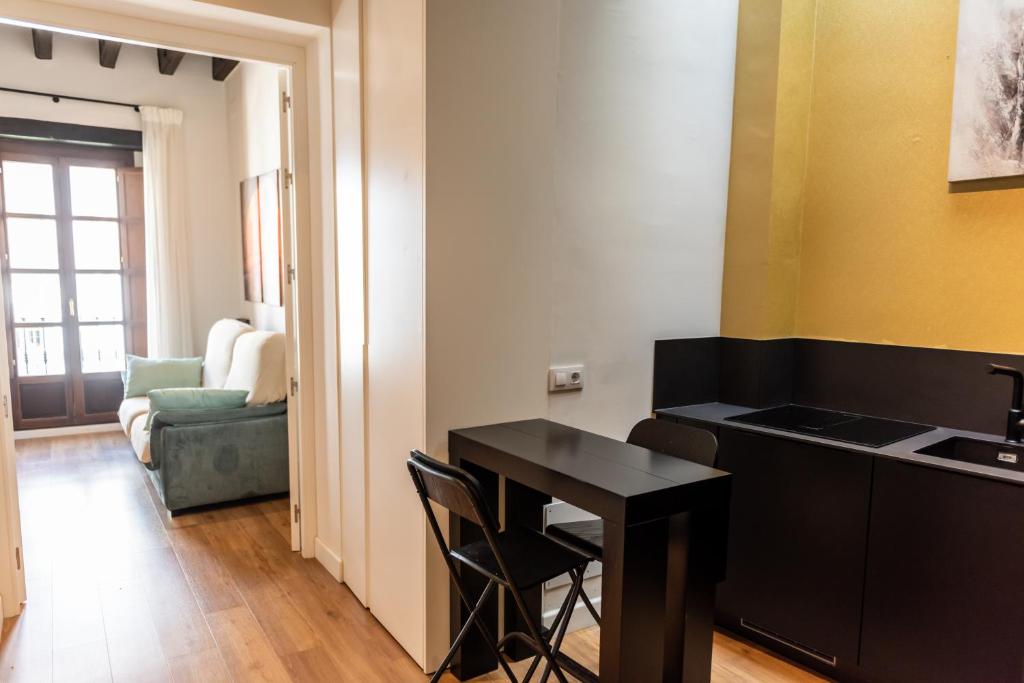 Duplex Luxury Giralda with terrace - 5