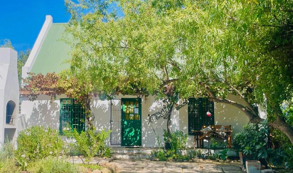 Imagine. McGregor, McGregor