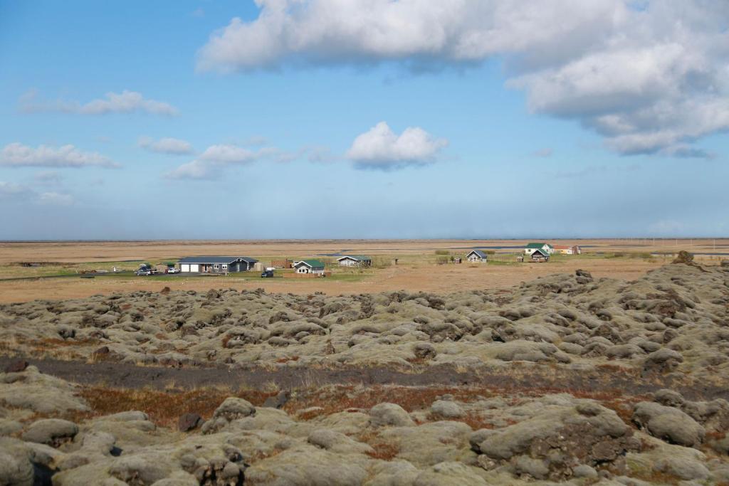 Surrounding environment