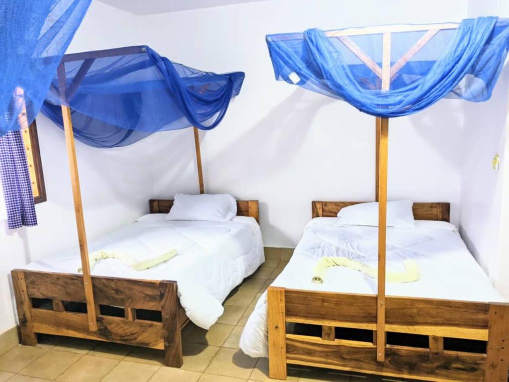 STC Domus Aurea Safaris, Oldeani