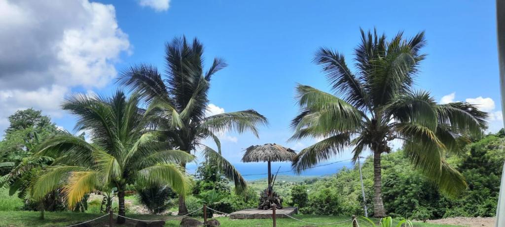 Studio S, Le Diamant