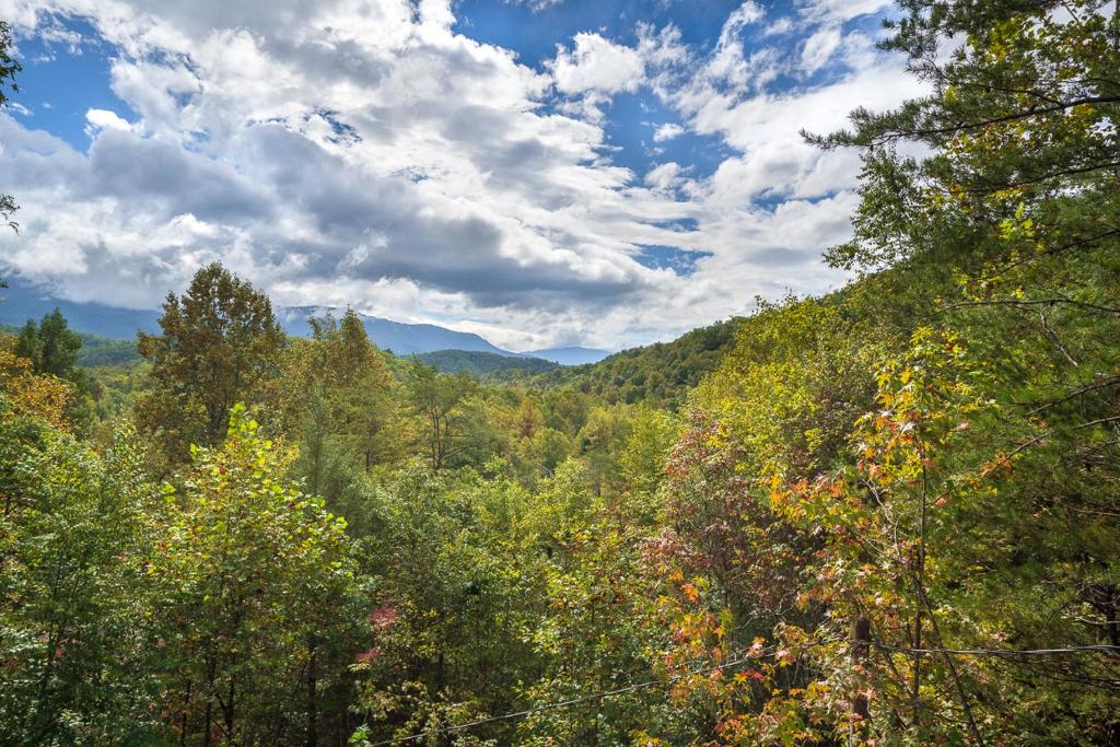 Eagle's Nest Hideaway By Stony Brook Cabins, Cosby