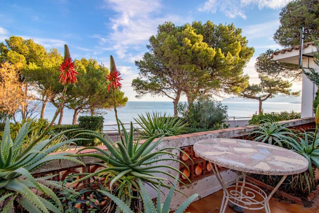 Les Tonyines 68 - apartamento con vistas y terraza - 1
