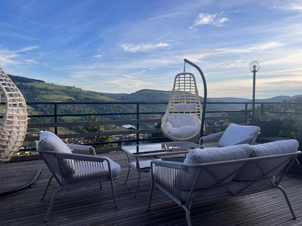 Le renard-Vue Panoramique La bresse-Gerardmer - 5