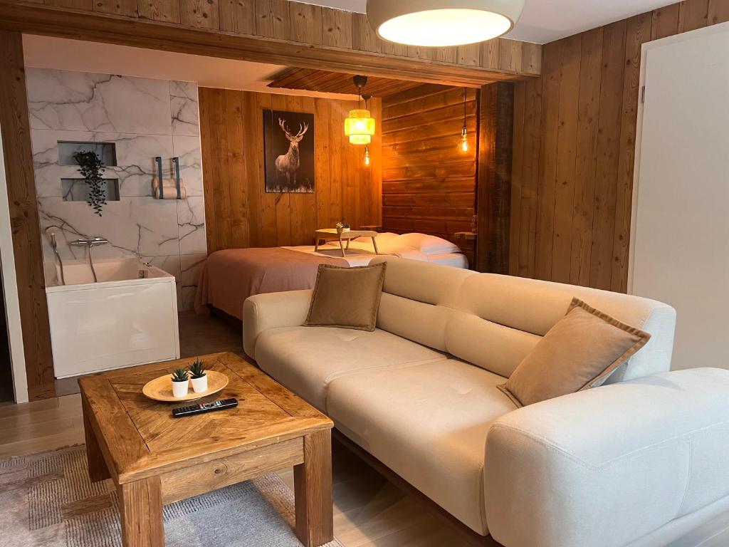 Hohneck - Studio de Montagne La Bresse / Gerardmer - 4
