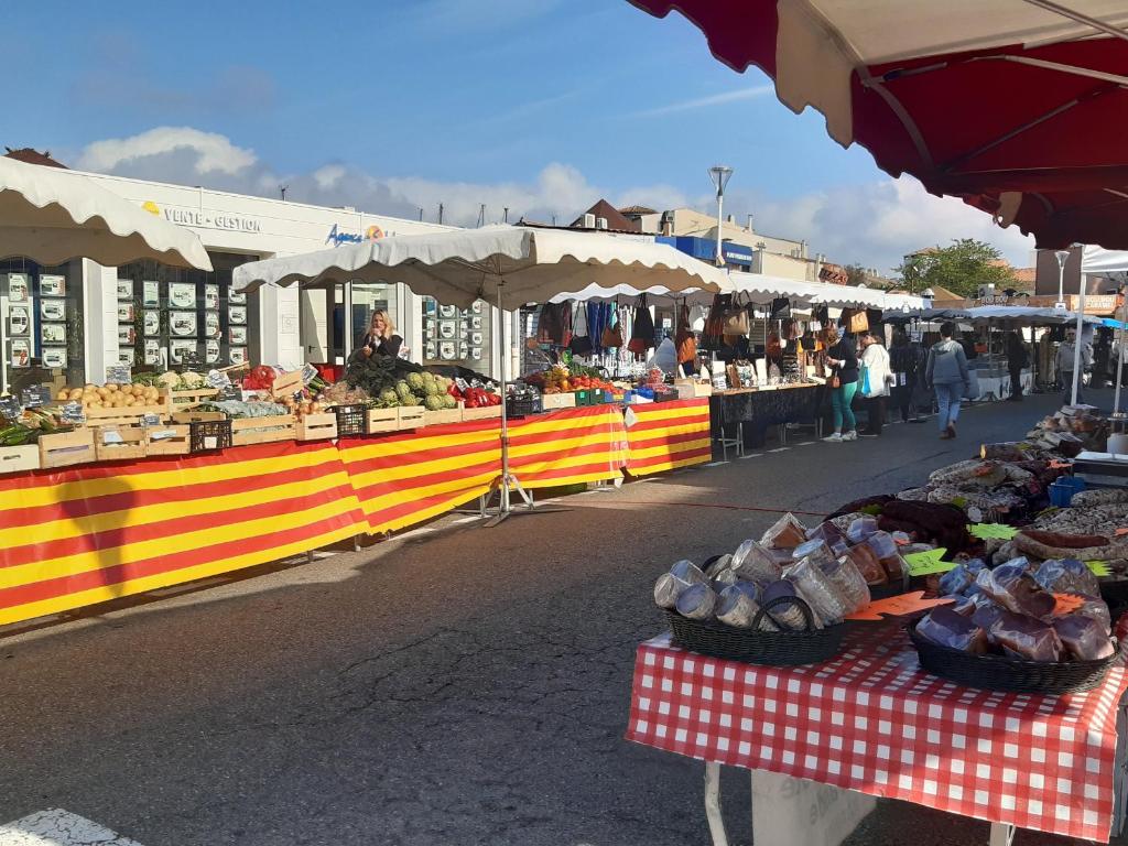 Beau T2 climatisé pour 4 pers., terrasse et parking à Port Leucate - FR-1-727-29 - 4