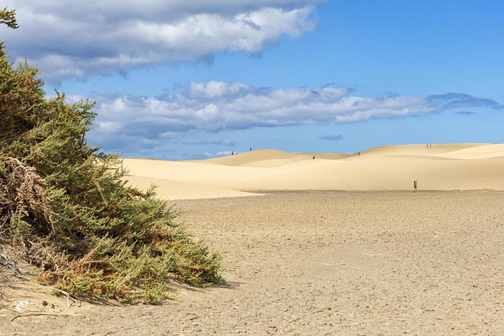 Smartr Maspalomas Corinto — Attractions in the area in Playa del Ingles, Canary Islands