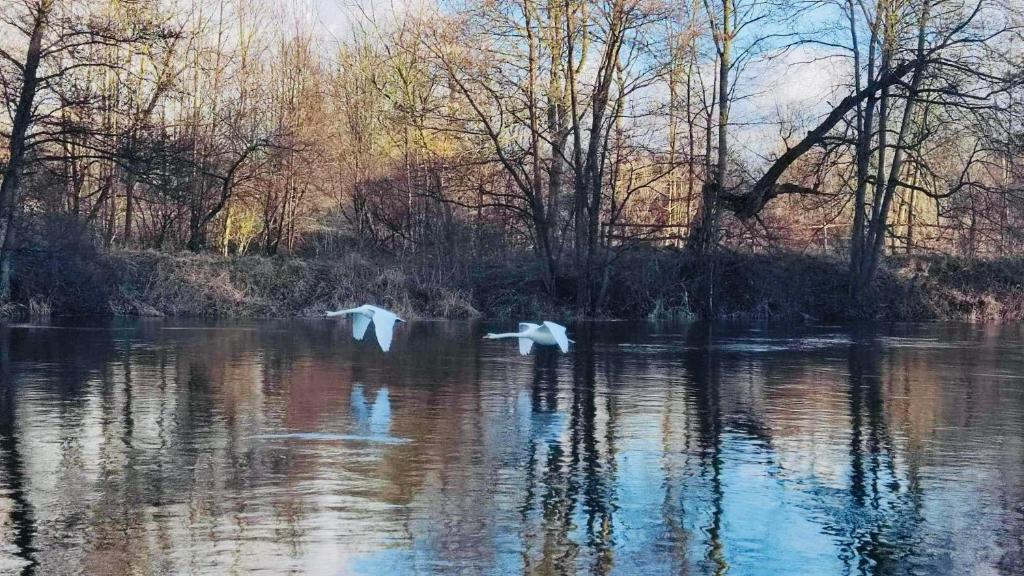 Nad Rzeczką, Błędowo