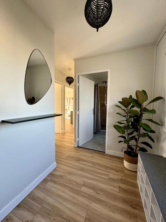 Appartement 50m2, Montpellier Ovalie, clim-balcon-netflix - 1