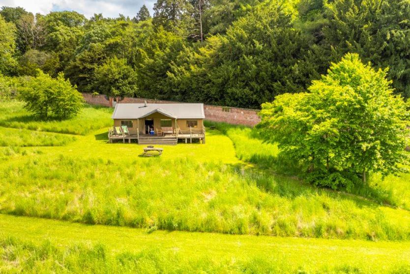 Cygnet - Exton Park, Exton