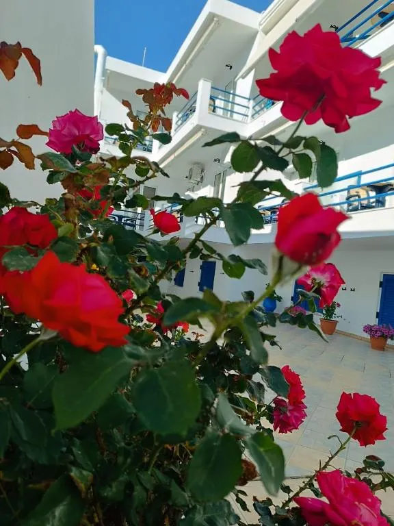 Akrogiali, hotel in Skala