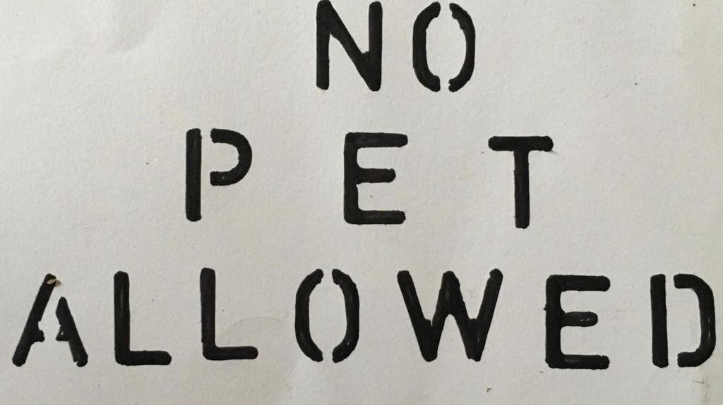 Simple apartment 1 Number 146 c