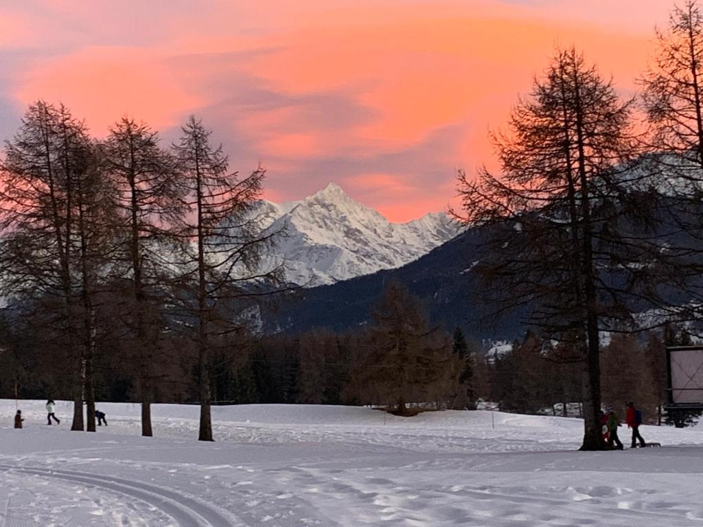 The Vintage at Crans-Montana - 2