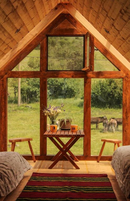 Magarija 1, Dimitrovgrad