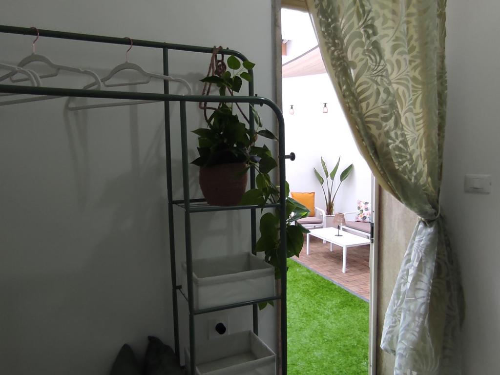 Il Giardino Segreto - 5