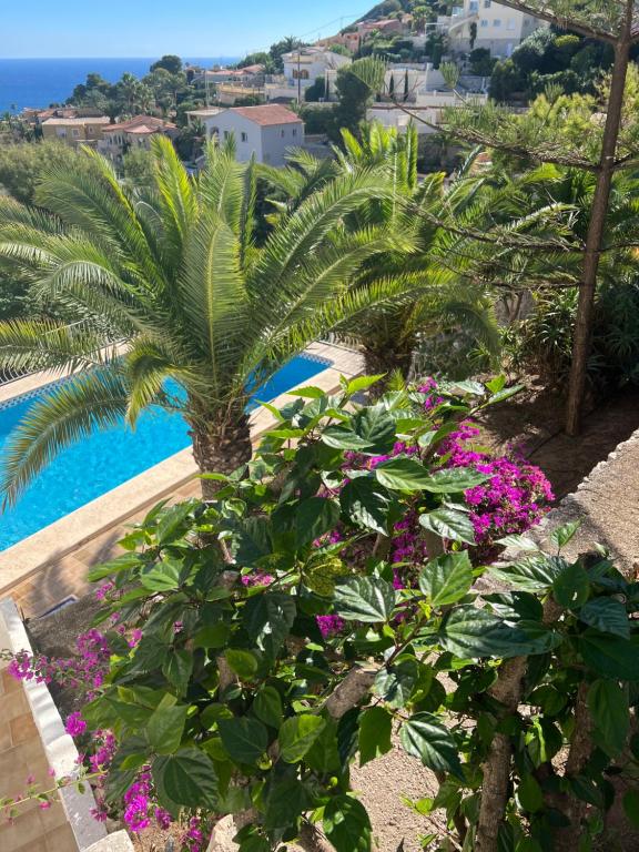 Amazing view villa - 1