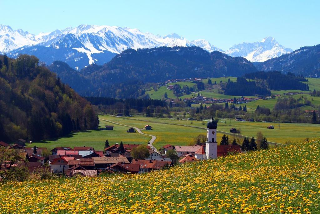 Aparte 3-Zi-Wohnung im Oberallgäu direkt am Berg! - 3