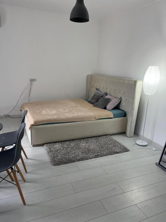 Ryan's Studio, Mamaia