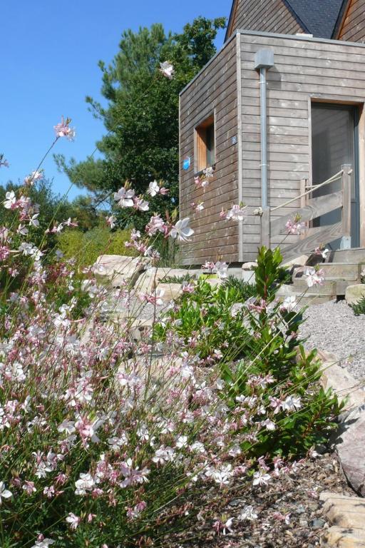 Au grès des pins, Erquy