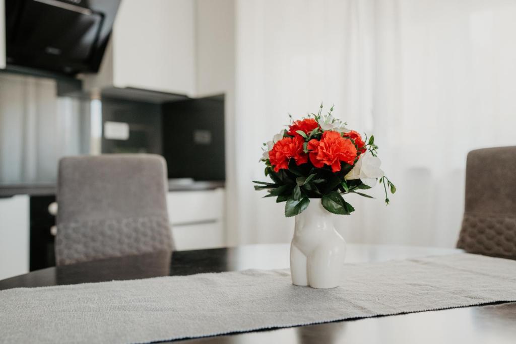 Accommodation Vuko, Seget Vranjica