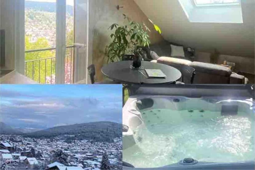 appartement la fleur d'abeille avec une belle vue et spa - 1