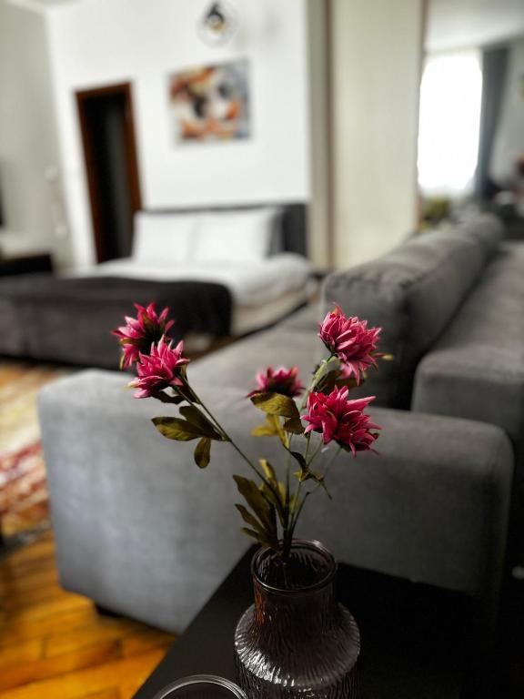 Apartman Mila Stari grad - 4