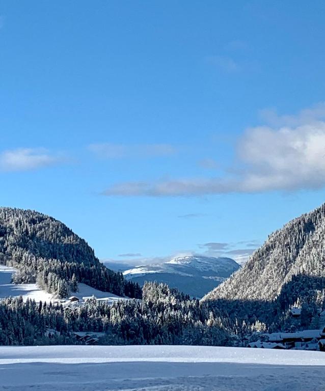 Appartement LE 351, Les Gets