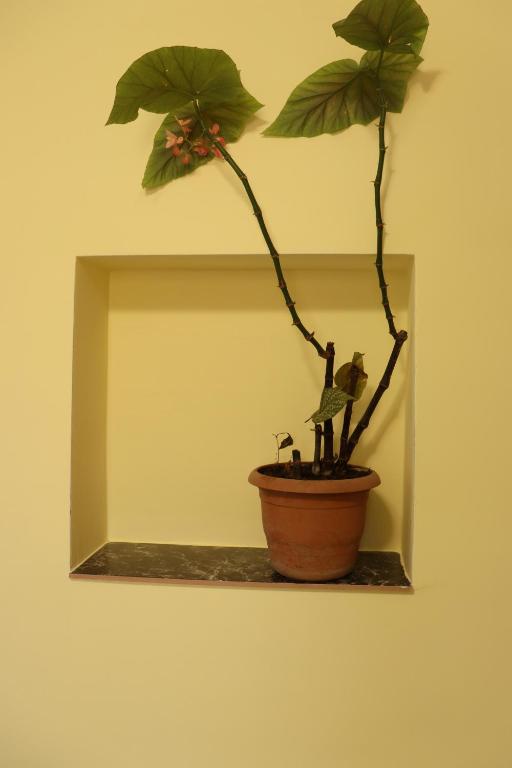 Lucy guest house, Garni