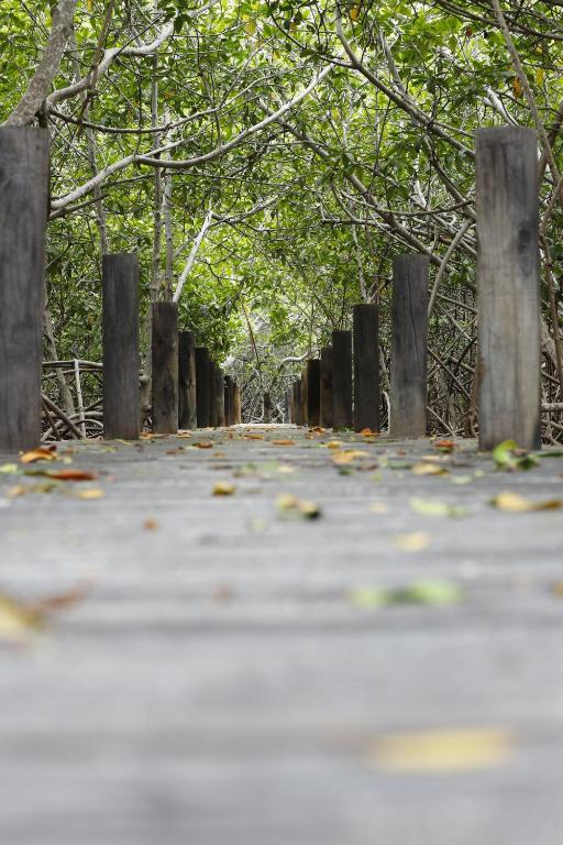 Surrounding environment