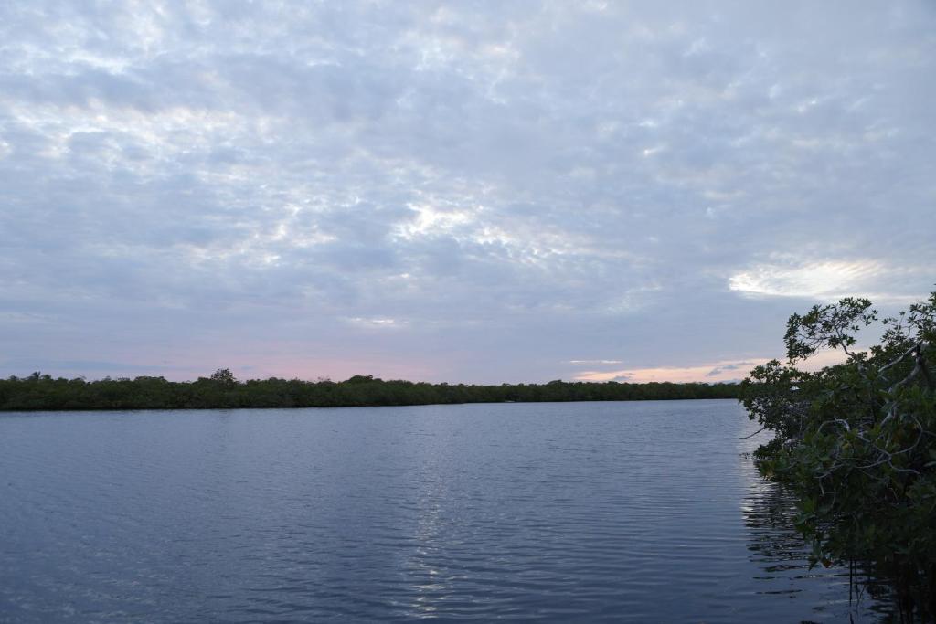 Surrounding environment