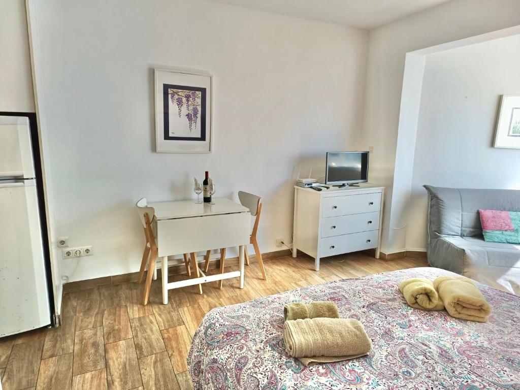 APARTAMENTO TORRESOL studio NSFC TORRECILLA NERJA - 2