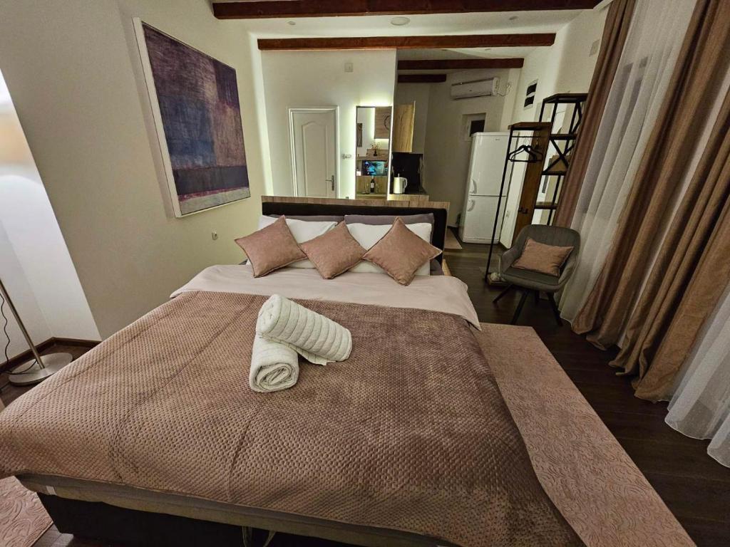 Apartman Mudrinić Apatin, Apatin