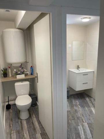Appartement Agility proche LDLC Arena Stade Groupama Lyon Eurexpo - 2
