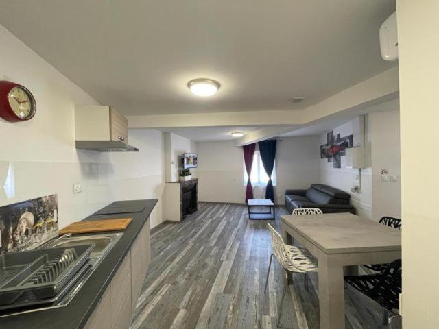 Appartement Agility proche LDLC Arena Stade Groupama Lyon Eurexpo - 3